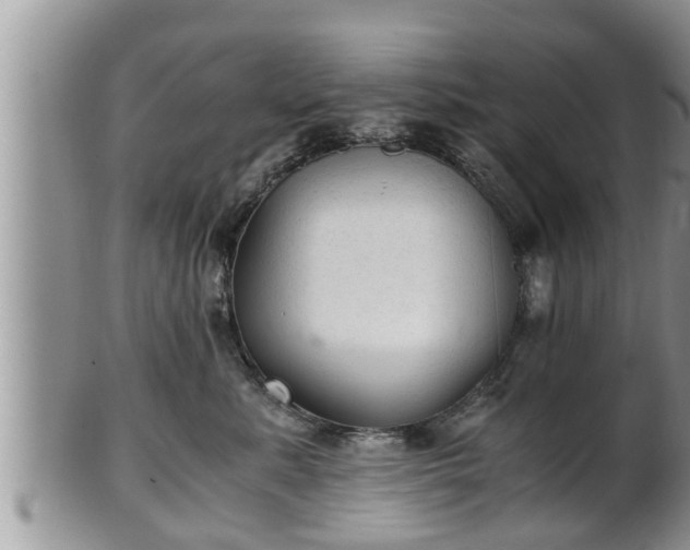 X0000102300619200808011541