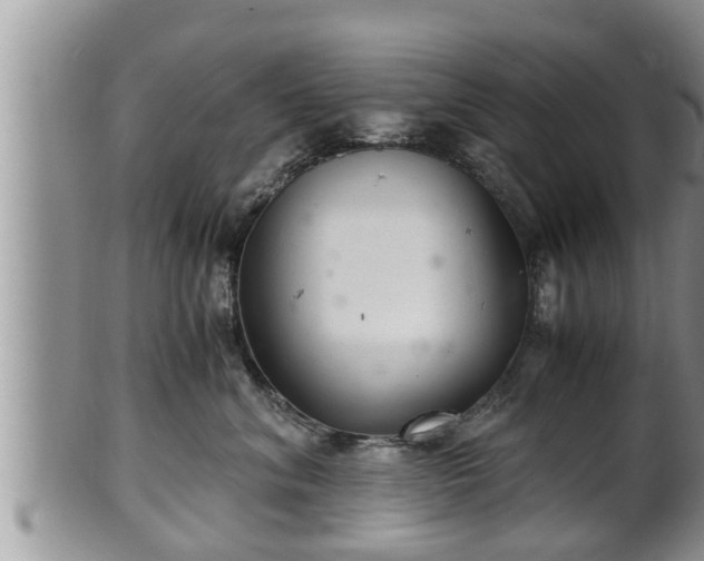 X0000102300620200808011541