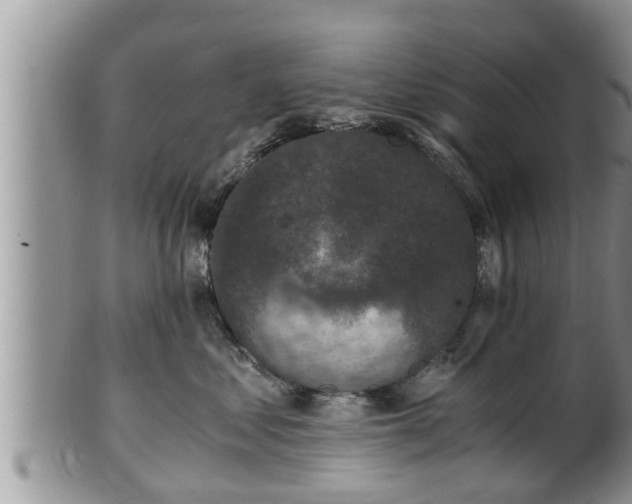 X0000102300621200808011541