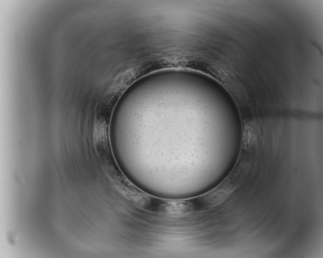 X0000102300623200808011541