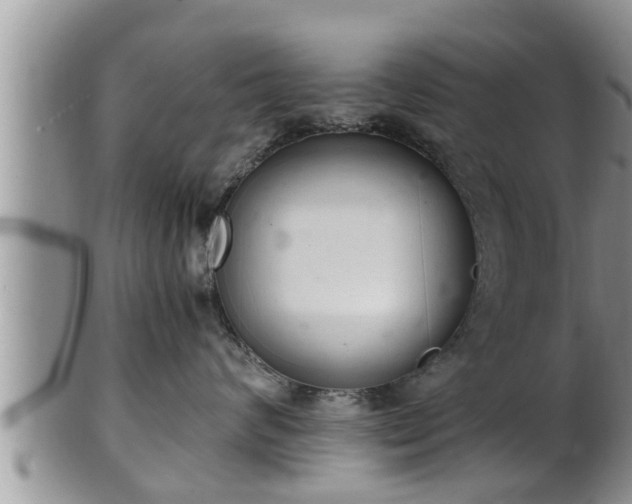 X0000102300624200808011541