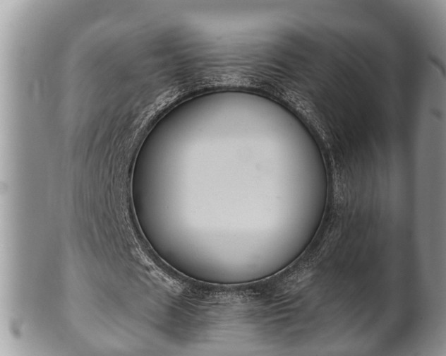 X0000102300625200808011541