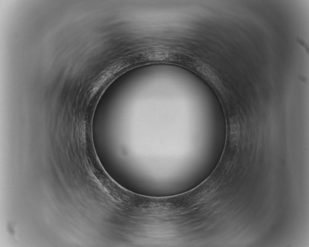 X0000102300626200808011541