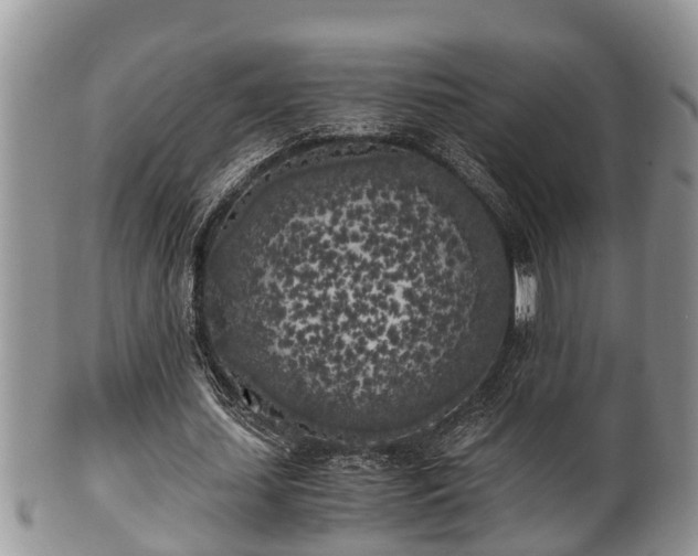 X0000102300627200808011541