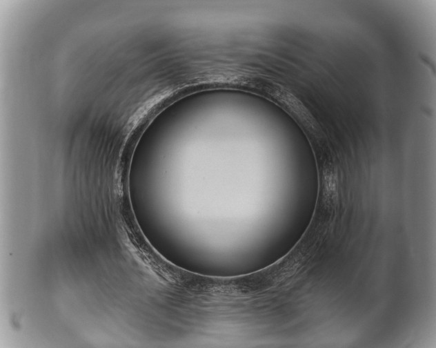 X0000102300628200808011541