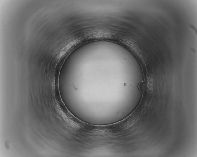 X0000102300629200808011541