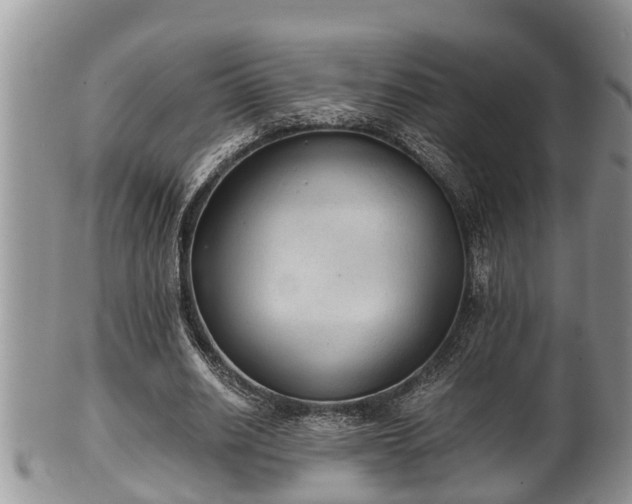 X0000102300630200808011541