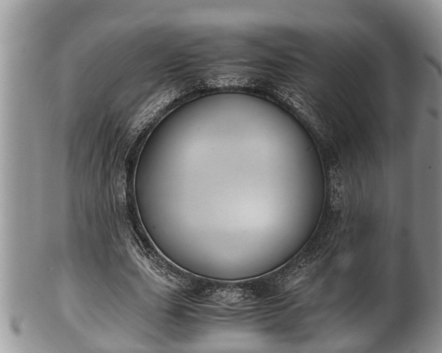 X0000102300631200808011541