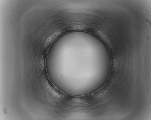 X0000102300633200808011541