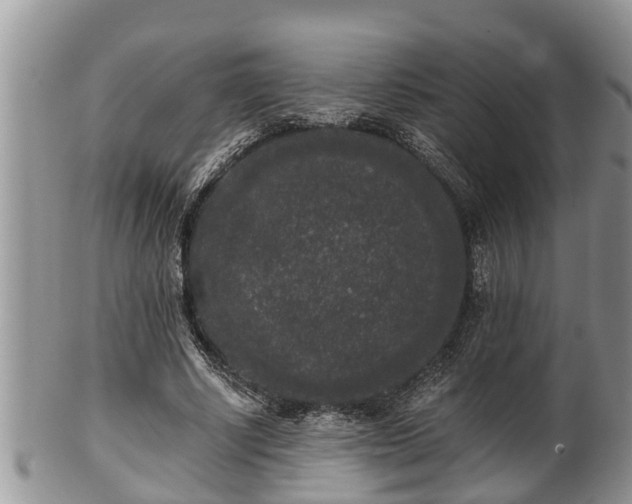 X0000102300634200808011541