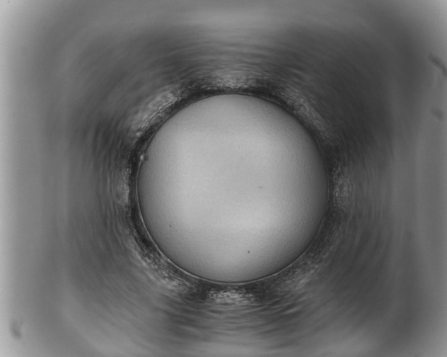 X0000102300635200808011541