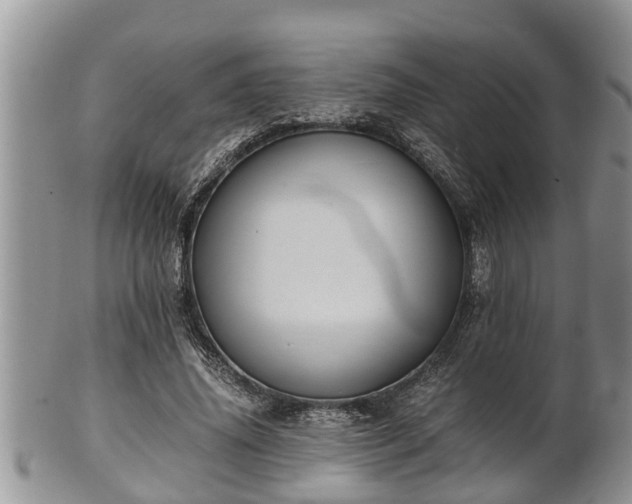 X0000102300636200808011541