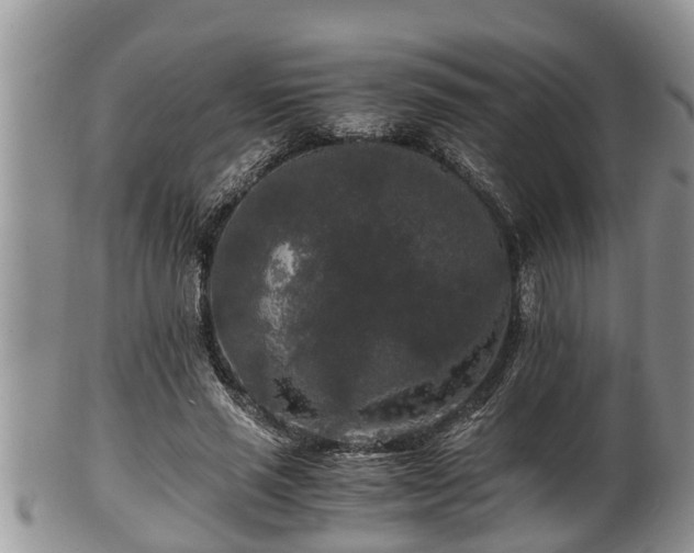 X0000102300637200808011541