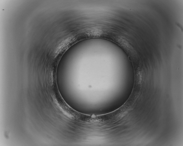 X0000102300638200808011541