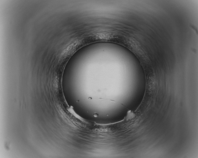 X0000102300639200808011541