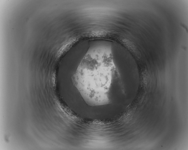 X0000102300640200808011541