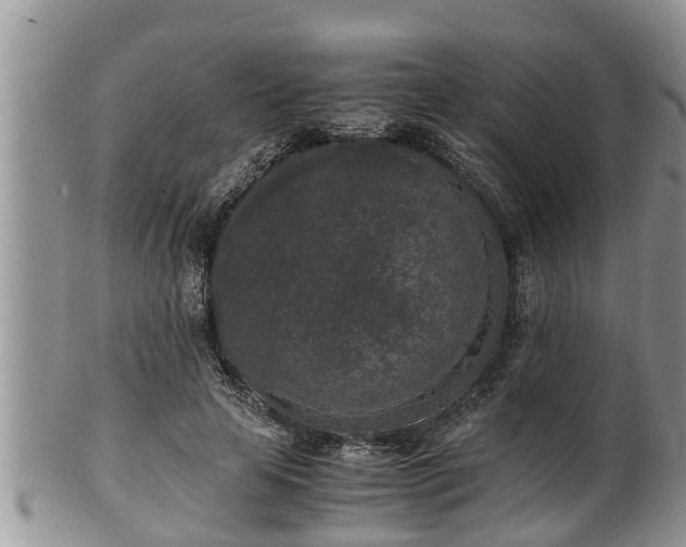 X0000102300641200808011541