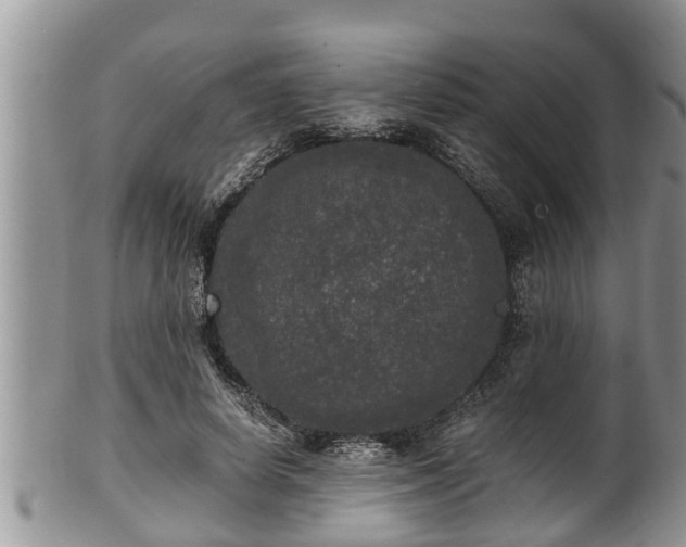 X0000102300642200808011541