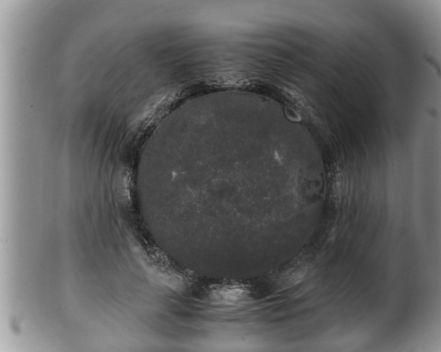 X0000102300643200808011541