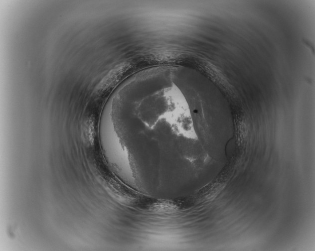 X0000102300644200808011541