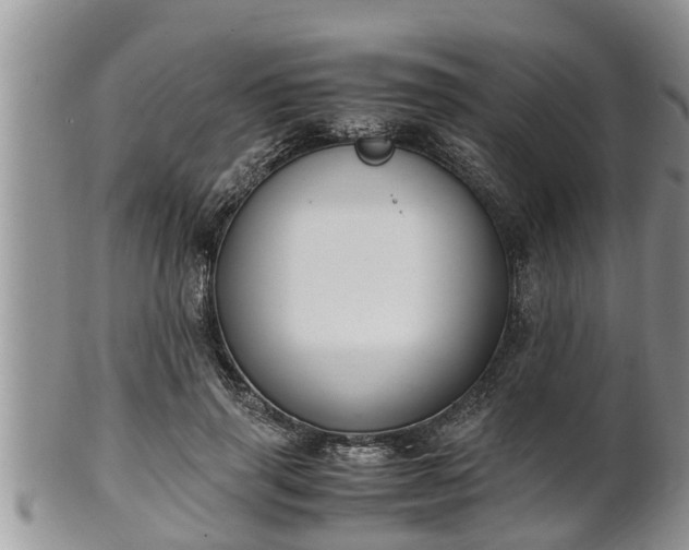 X0000102300645200808011541