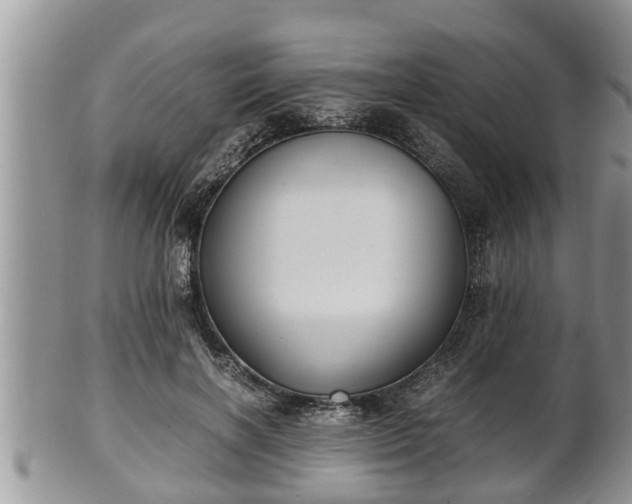 X0000102300646200808011541