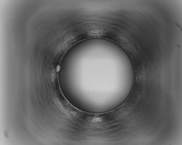 X0000102300647200808011541