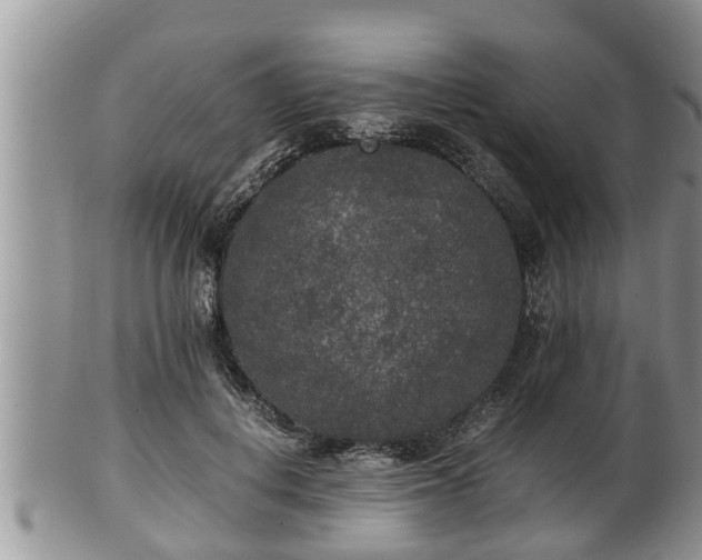 X0000102300648200808011541