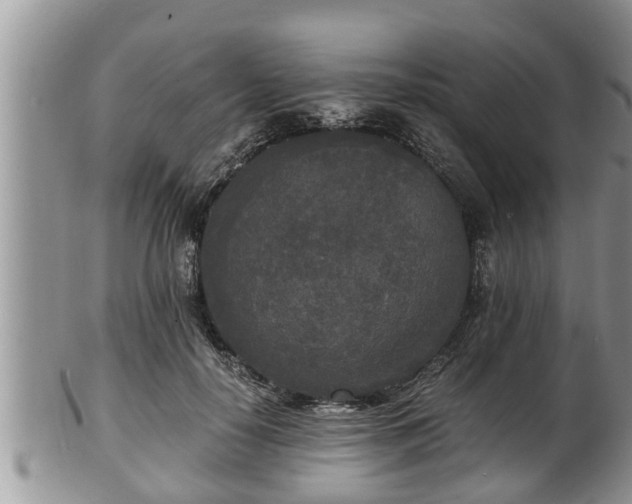 X0000102300650200808011541