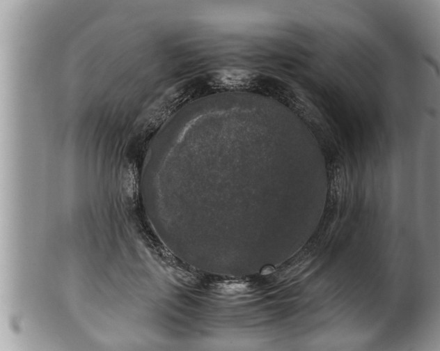 X0000102300651200808011541