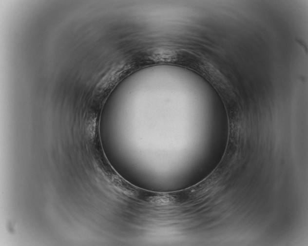 X0000102300652200808011541