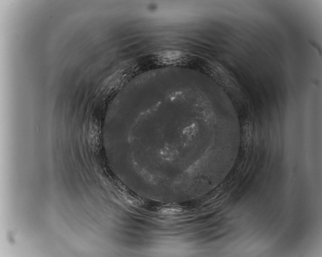 X0000102300653200808011541