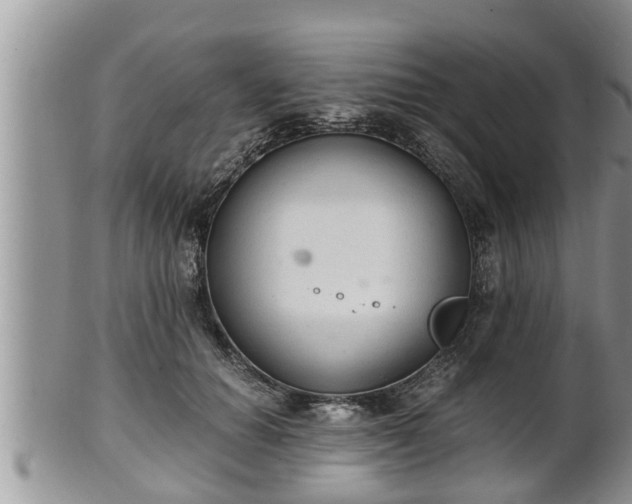 X0000102300654200808011541