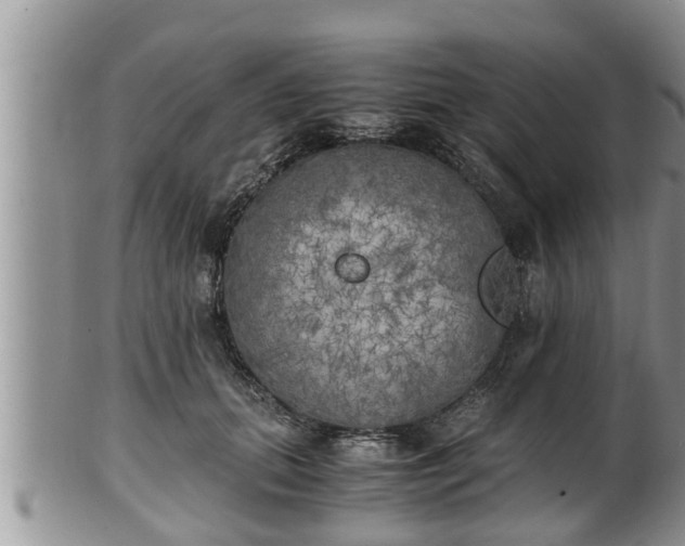 X0000102300655200808011541