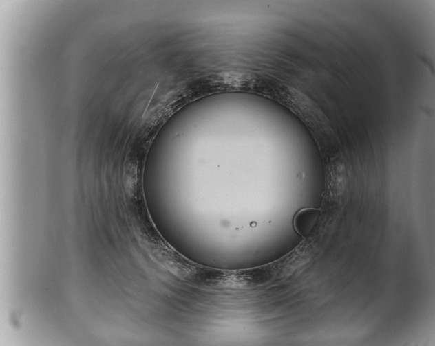 X0000102300656200808011541