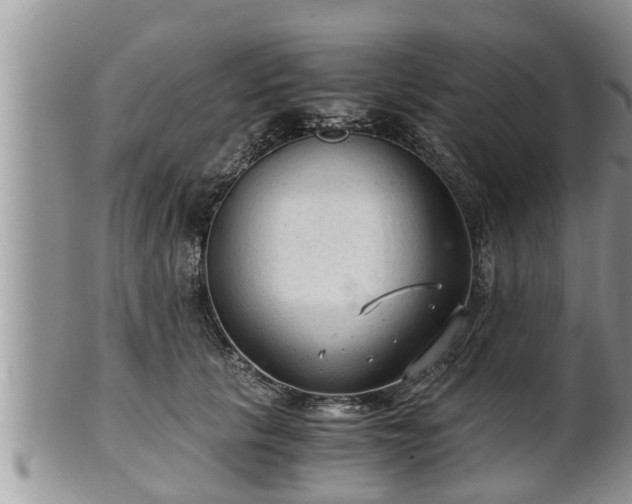 X0000102300657200808011541