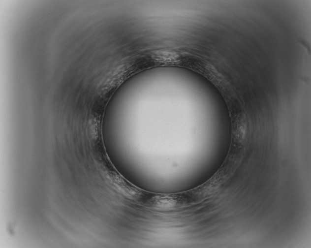 X0000102300658200808011541