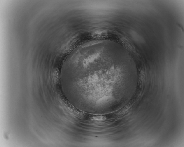 X0000102300659200808011541