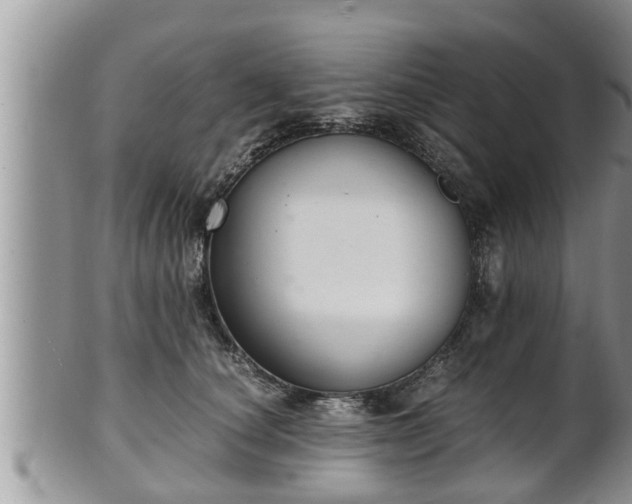 X0000102300660200808011541