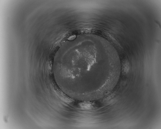 X0000102300661200808011541