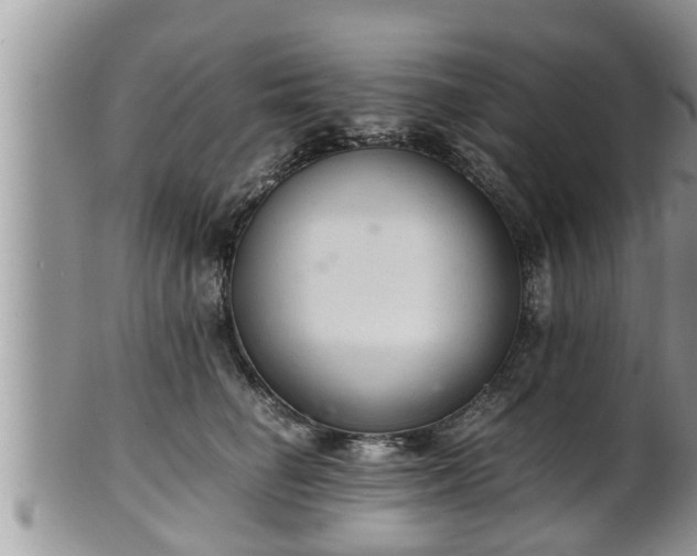 X0000102300662200808011541