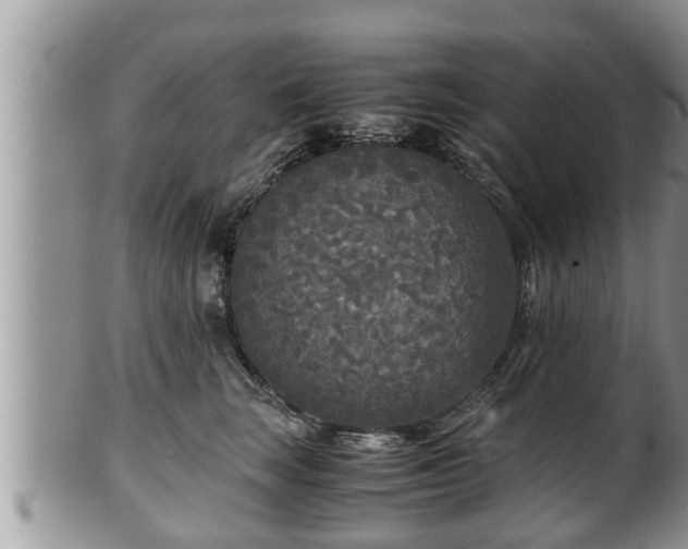 X0000102300663200808011541