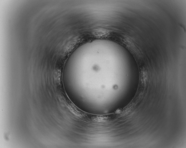 X0000102300664200808011541