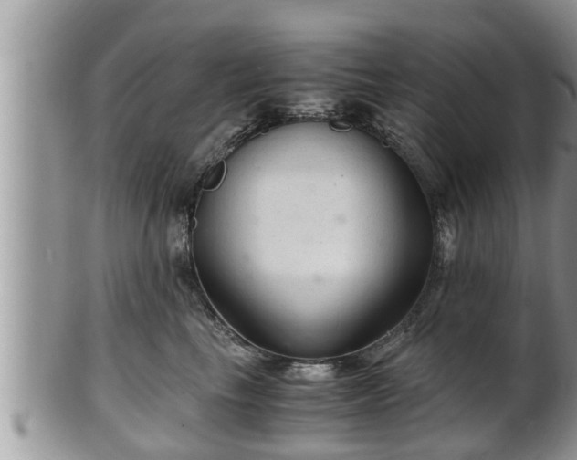 X0000102300665200808011541