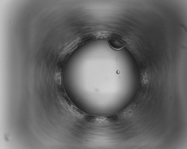 X0000102300666200808011541