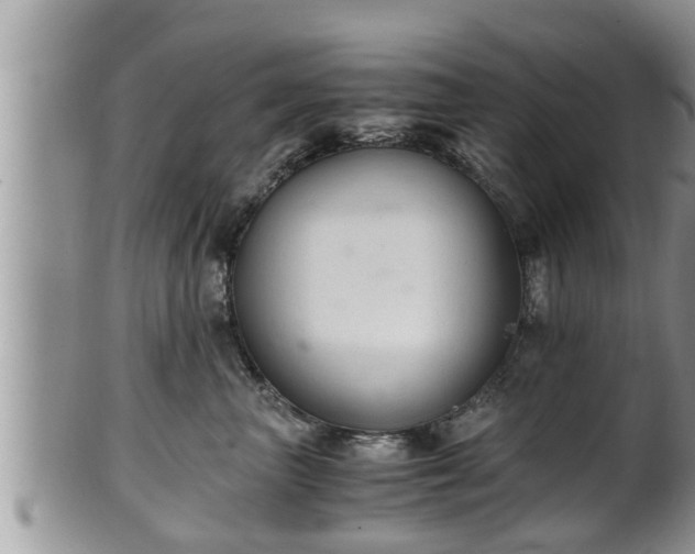 X0000102300667200808011541