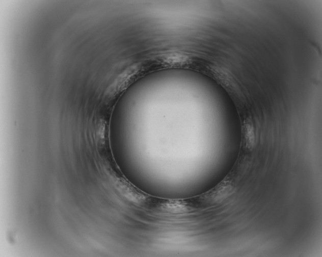 X0000102300668200808011541