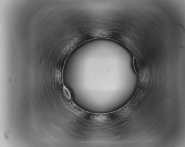 X0000102300669200808011541