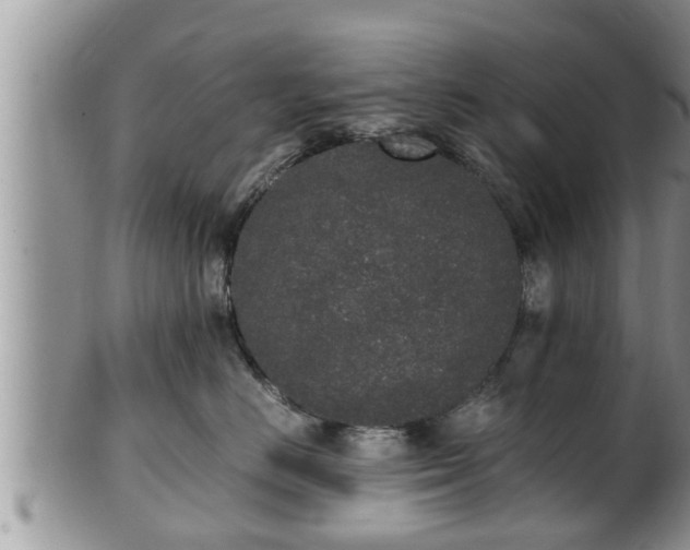 X0000102300670200808011541