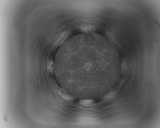 X0000102300671200808011541